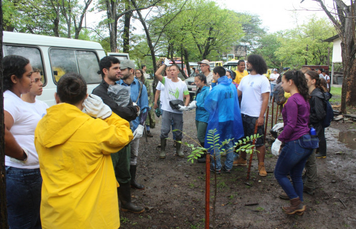 Limpieza en Tunel verde y vivo de la biodiversidad