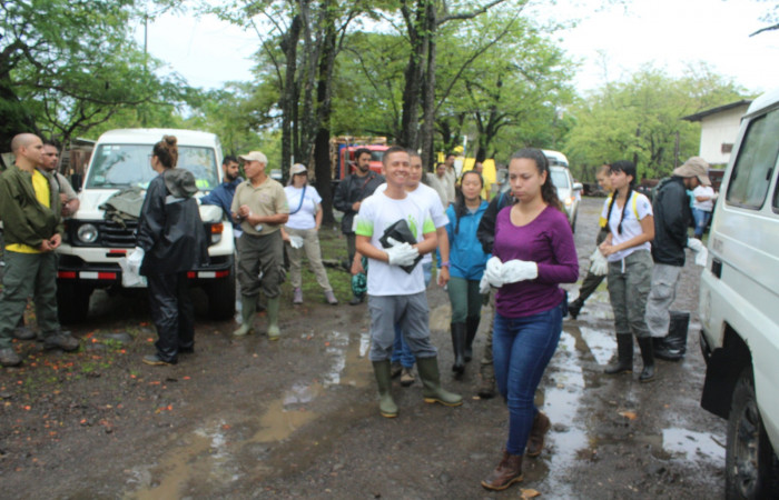Limpieza en Tunel verde y vivo de la biodiversidad