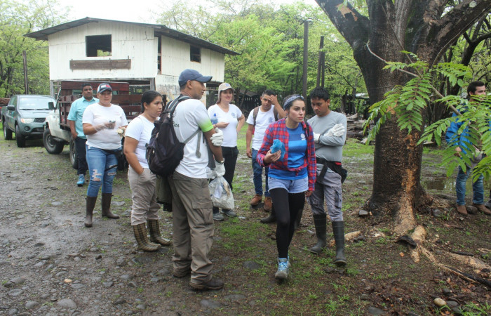 Limpieza en Tunel verde y vivo de la biodiversidad