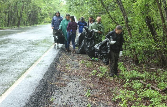Limpieza en Tunel verde y vivo de la biodiversidad