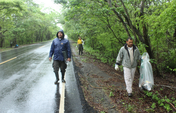 Limpieza en Tunel verde y vivo de la biodiversidad
