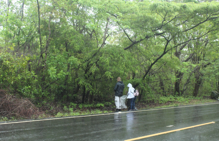 Limpieza en Tunel verde y vivo de la biodiversidad