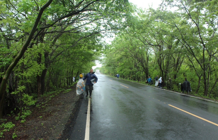 Limpieza en Tunel verde y vivo de la biodiversidad