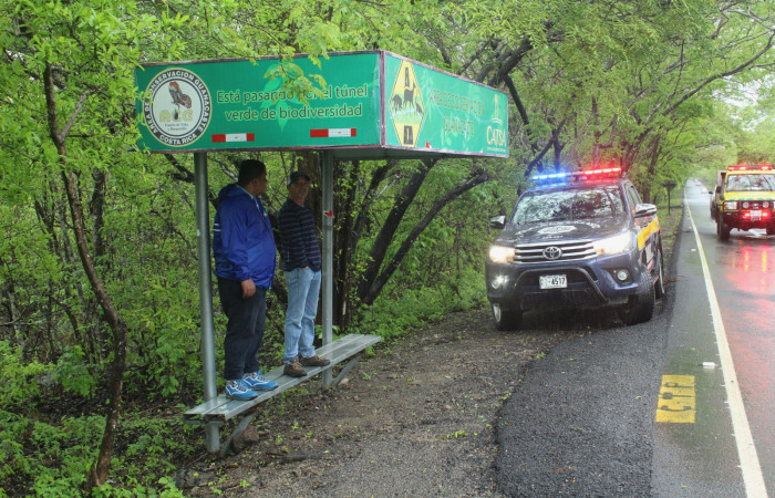 Limpieza en Tunel verde y vivo de la biodiversidad