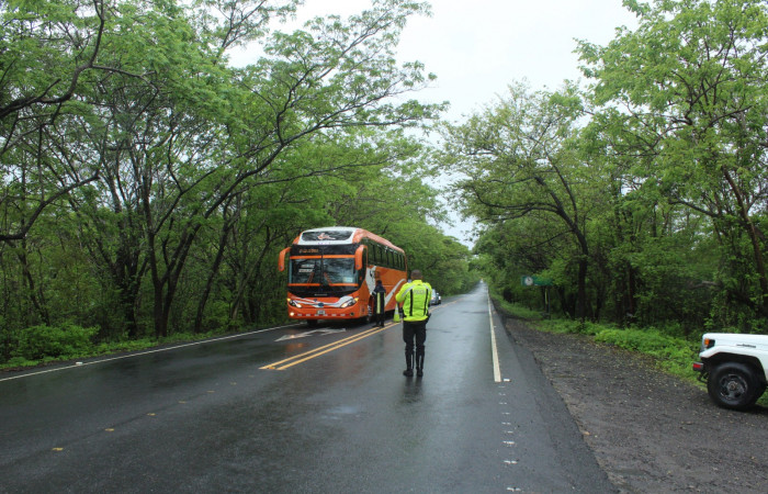 Limpieza en Tunel verde y vivo de la biodiversidad