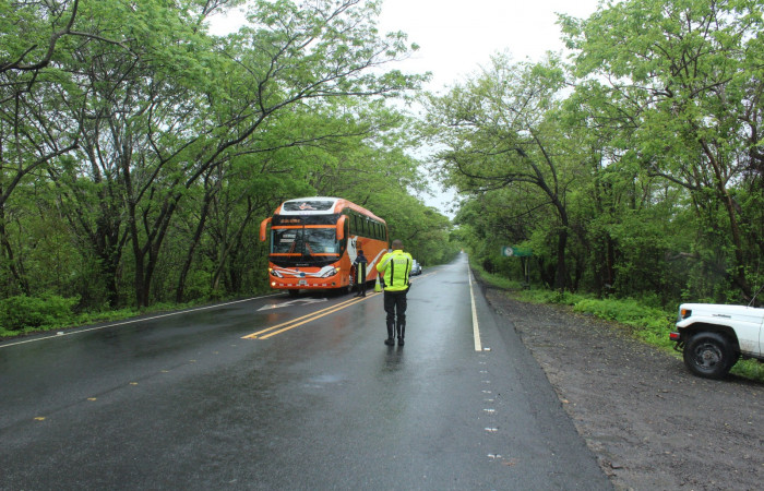 Limpieza en Tunel verde y vivo de la biodiversidad