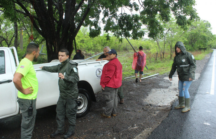 Limpieza en Tunel verde y vivo de la biodiversidad