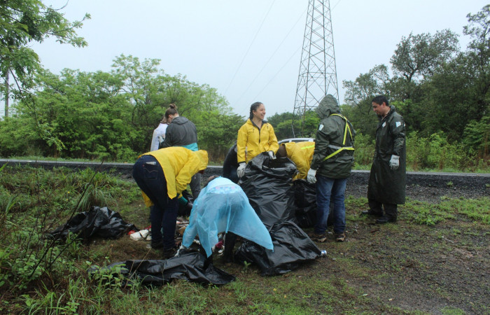 Limpieza en Tunel verde y vivo de la biodiversidad