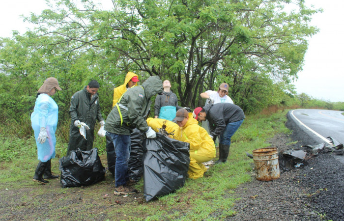 Limpieza en Tunel verde y vivo de la biodiversidad