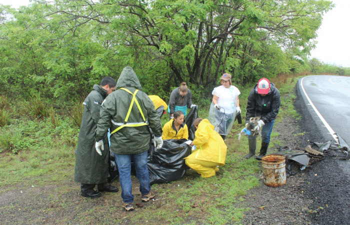 Limpieza en Tunel verde y vivo de la biodiversidad