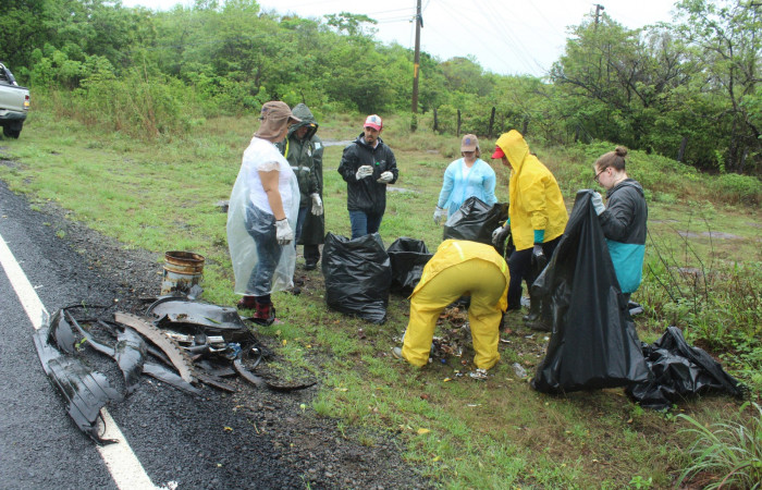 Limpieza en Tunel verde y vivo de la biodiversidad