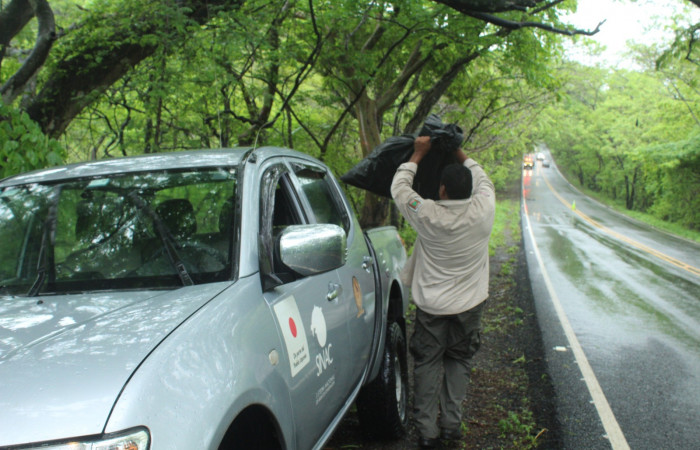 Limpieza en Tunel verde y vivo de la biodiversidad