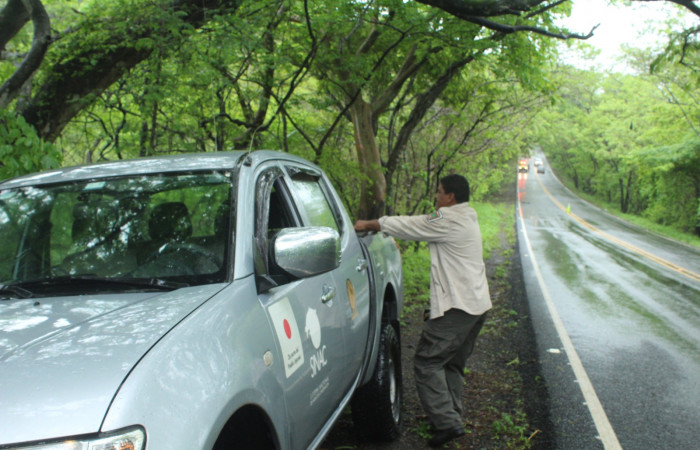 Limpieza en Tunel verde y vivo de la biodiversidad