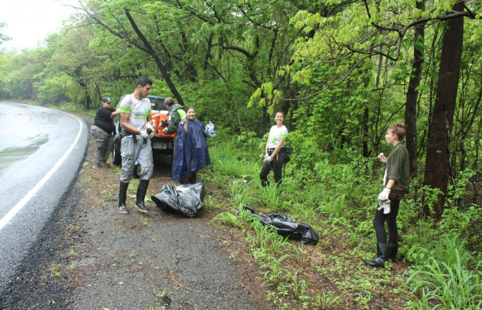 Limpieza en Tunel verde y vivo de la biodiversidad