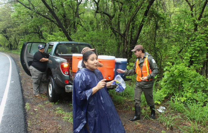 Limpieza en Tunel verde y vivo de la biodiversidad