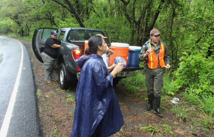 Limpieza en Tunel verde y vivo de la biodiversidad