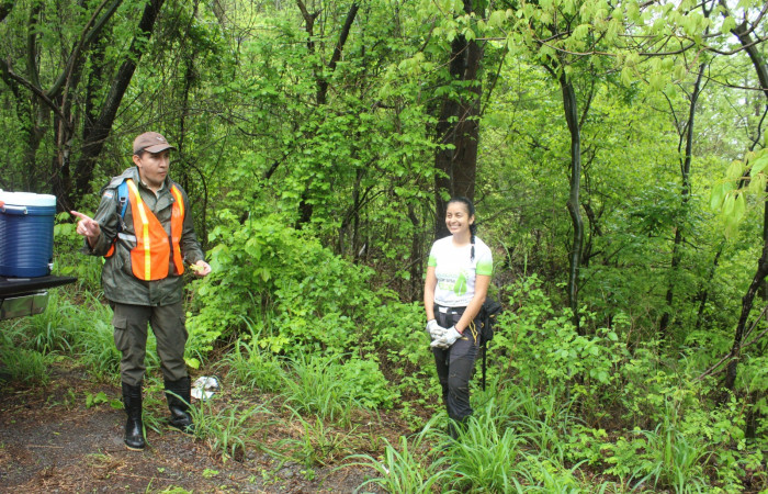 Limpieza en Tunel verde y vivo de la biodiversidad