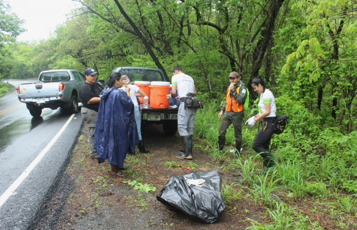 Limpieza en Tunel verde y vivo de la biodiversidad