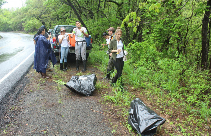 IMLimpieza en Tunel verde y vivo de la biodiversidad