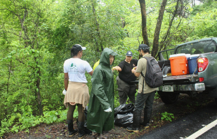 Limpieza en Tunel verde y vivo de la biodiversidad