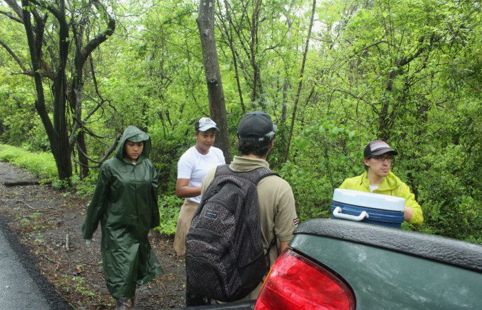 Limpieza en Tunel verde y vivo de la biodiversidad
