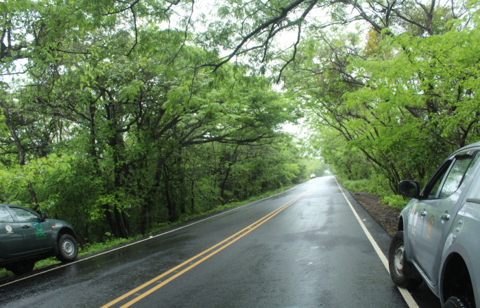 Limpieza en Tunel verde y vivo de la biodiversidad