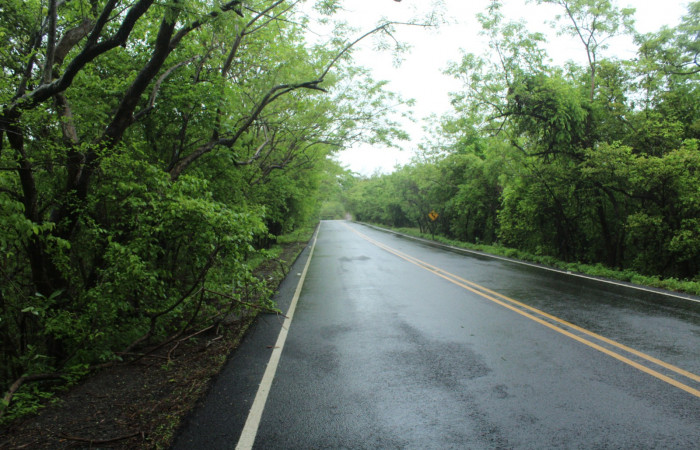 Limpieza en Tunel verde y vivo de la biodiversidad
