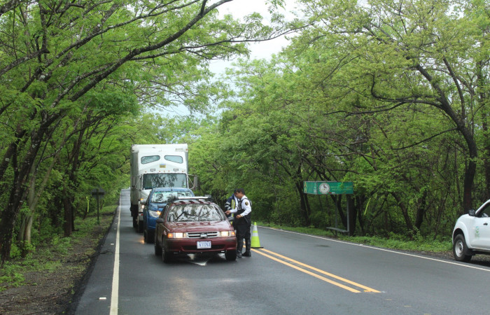 Limpieza en Tunel verde y vivo de la biodiversidad