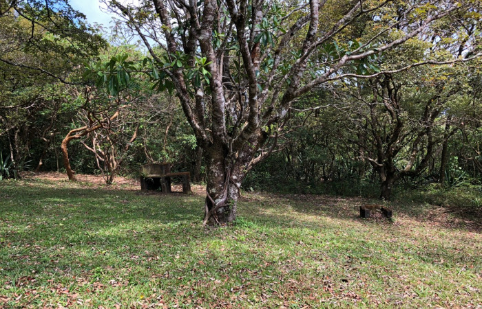 Área de acampar