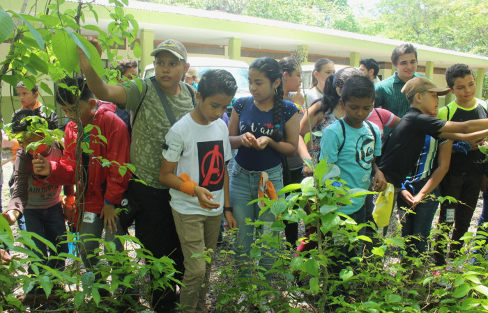 XIX Taller de Biodiversidad PEB 05 junio 2019  Sector Santa Rosa  Foto: Melissa Espinoza