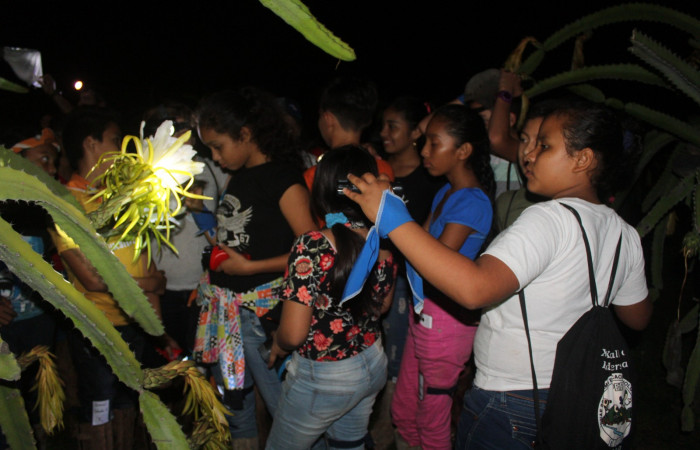 Los Coyotes, Cañas Dulces  06 junio 2019  Foto: Melissa Espinoza