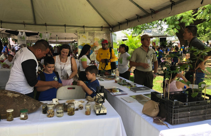 Parque Héctor Zúñiga Rovira; Liberia Guanacaste  01 de junio, 2019  Foto: Gabriela Gutiérrez