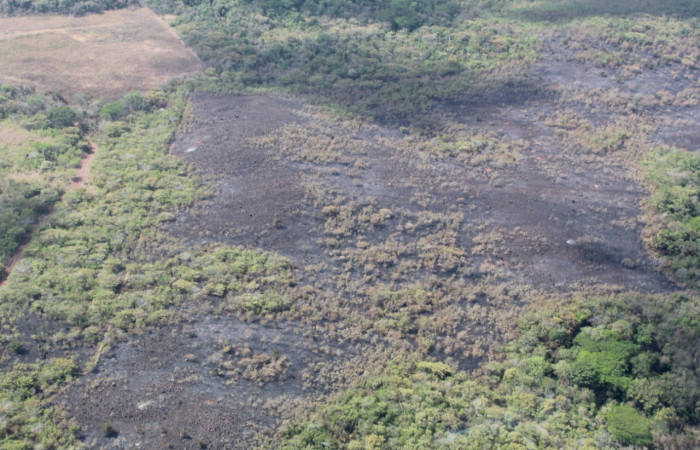 21 de abril 2019  Foto: PMF