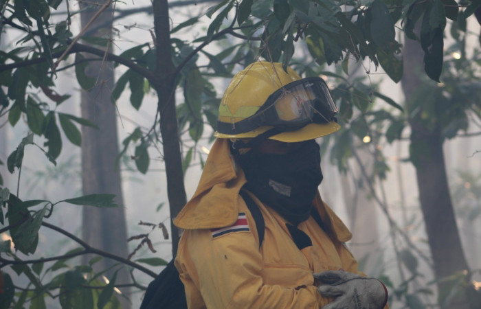 21 de abril 2019  Foto: PMF