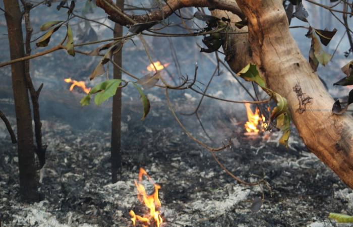 21 de abril 2019  Foto: PMF