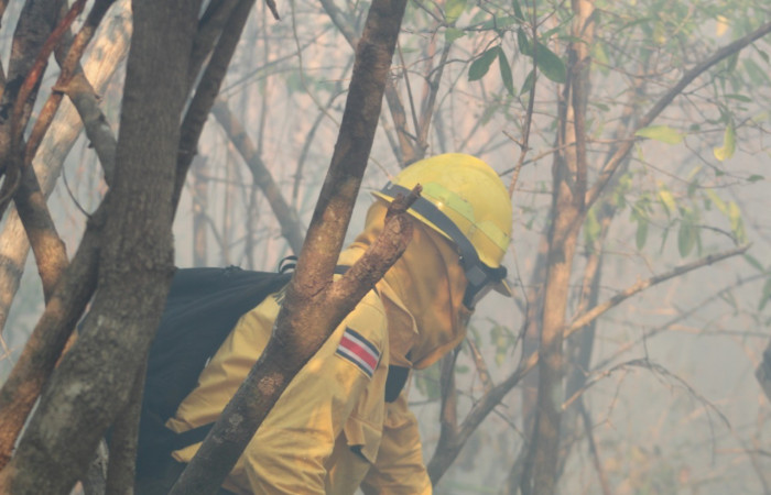 21 de abril 2019  Foto: PMF