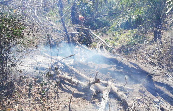 Cuajiniquil, La Cruz Guanacaste  27 de febrero 2019  Foto: PMF