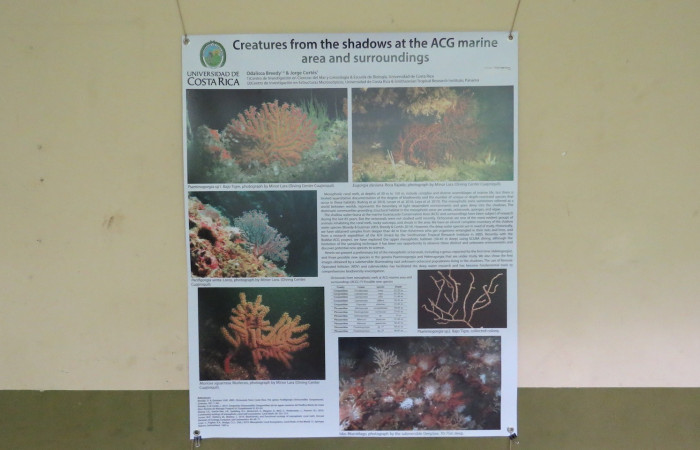Posters Open House iACG 2019