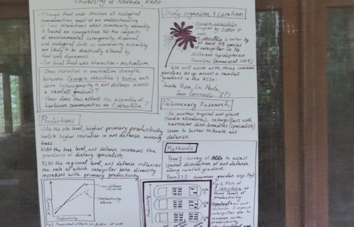 Posters Open House iACG 2019