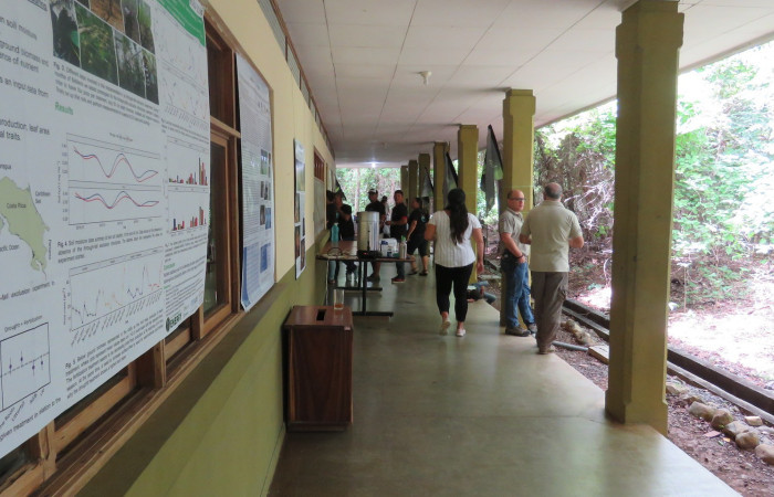 Sesión de posters
