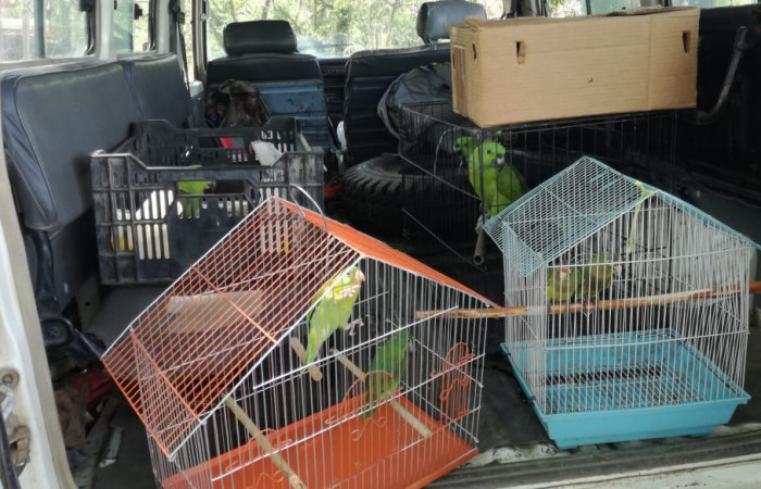 18 mayo 2018, Liberia, Fotografía: Evelyn Solano