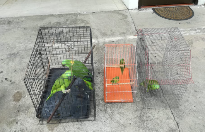 18 mayo 2018, Liberia, Fotografía: Evelyn Solano