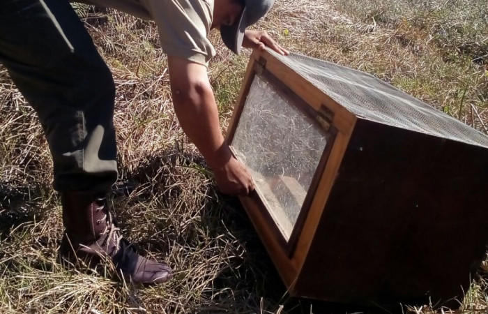 09 de marzo 2018, Estación Experimental Forestal Horizontes, Fotografía: Ronald Castro M.