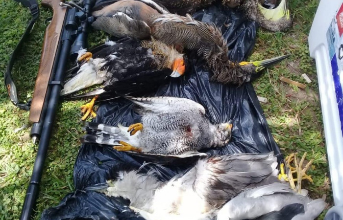 31 de julio 2019 Cercanías al Parque Nacional Palo Verde Fotos: Quesada W