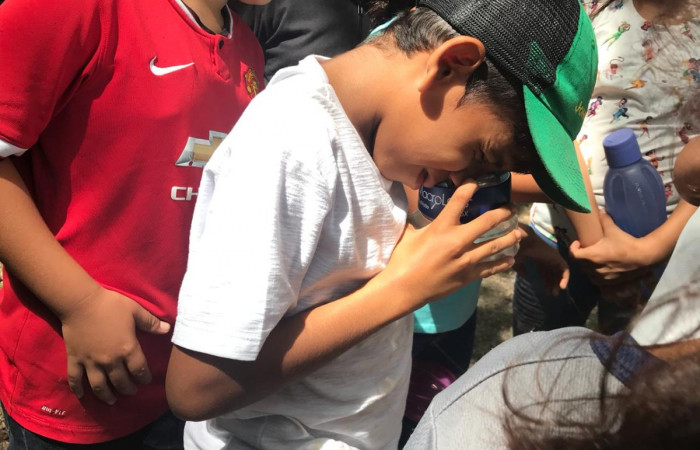 Con la utilización de una lupa, los estudiantes pueden observar las formas que tienen las larvas y las diferentes hormigas capturadas.