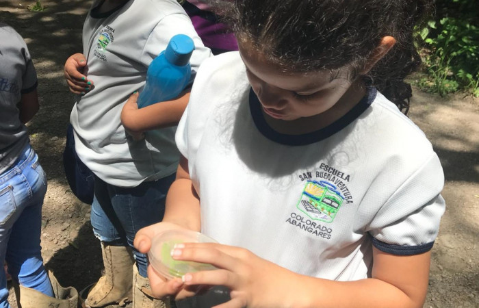 En un petri, los estudiantes observan y aprenden la historia natural del árbol de cornizuelo y sus hormigas, mediante la captura de hormigas y sus estadíos que hay en las espinas.