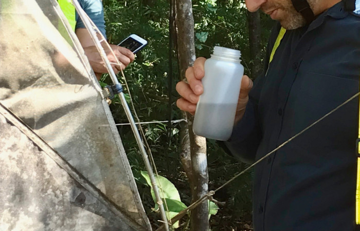 Tilman Jaeger (UICN) observando muestra de insectos capturados durante una semana, Paillas II, 25 de enero 2018, Fotografía: Roger Blanco