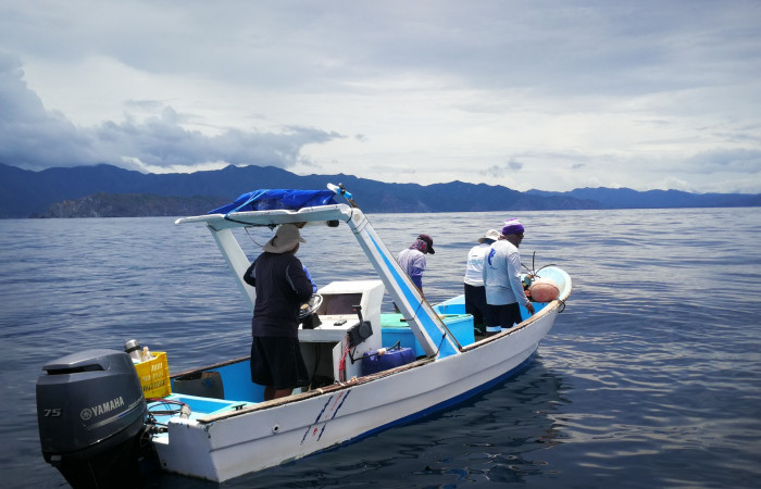 Sector Santa Rosa 7 de agosto 2019 Foto: Marco Bustos