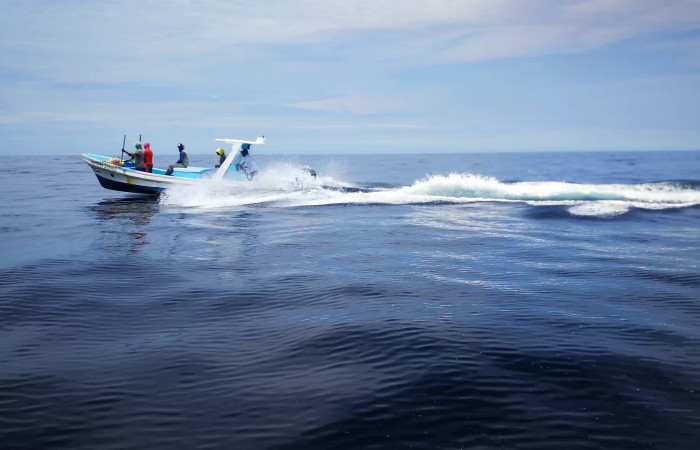 Sector Santa Rosa 7 de agosto 2019 Foto: Marco Bustos