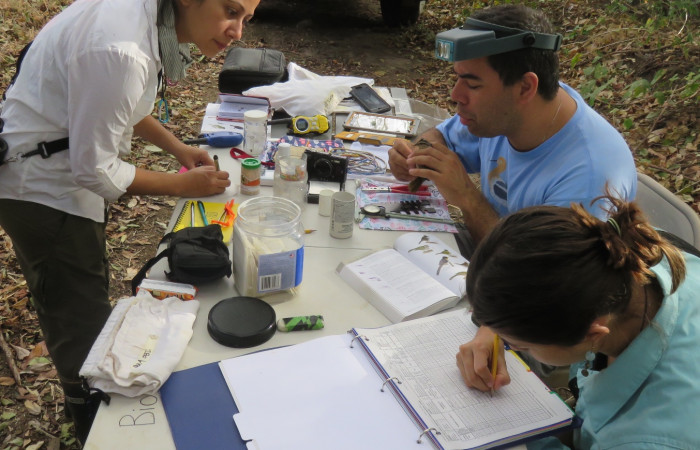 Estación Pitilla, febrero 2018, Fotografía: Eric Palola